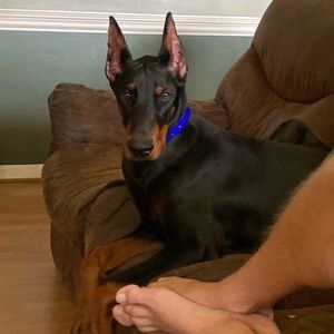 Meet your Posher, Kyraleigh